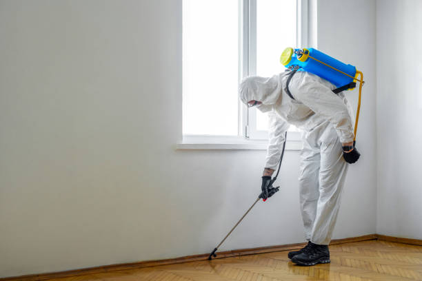 Best Emergency Pest Control  in Withamsville, OH